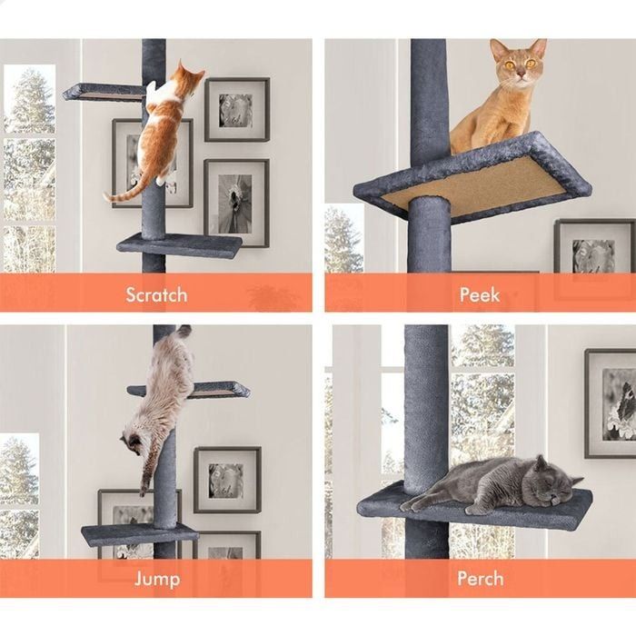 Floor to Ceiling Cat Tree Tower Adjustable 230 - 286cm Grey